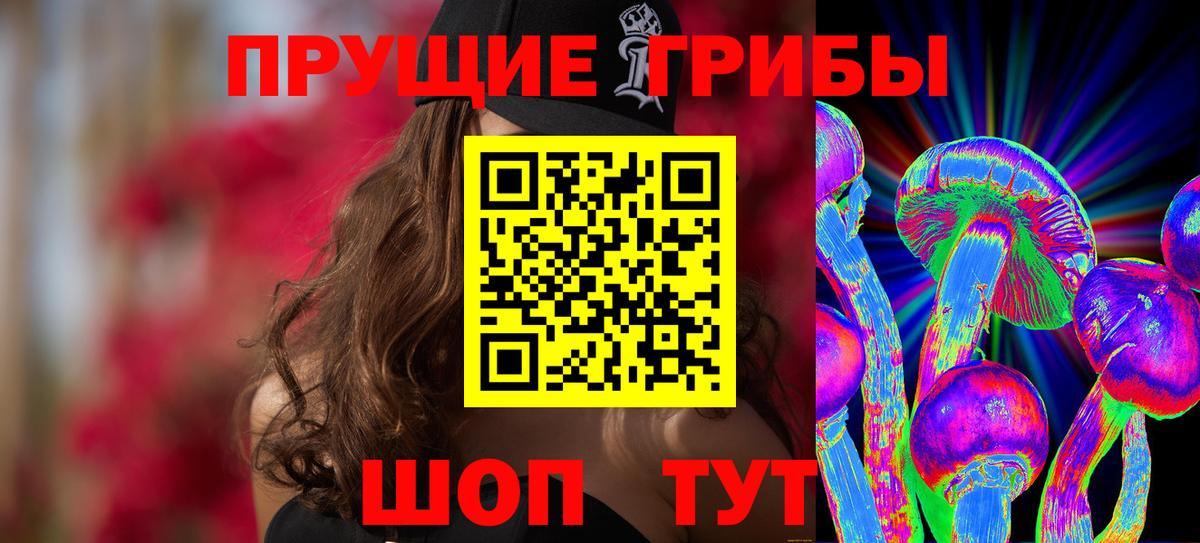 Гусь-Хрустальный  Псилоцибиновые грибы MAGIC MUSHROOMS  Вход с VPN 