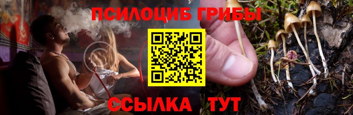 Псилоцибиновые грибы мухоморы Гусь-Хрустальный